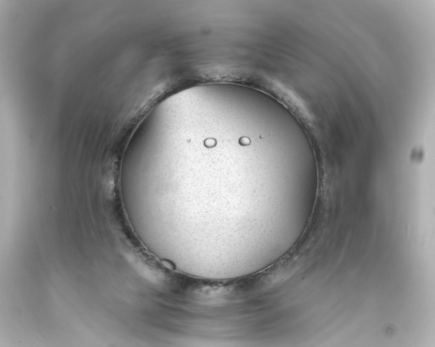 X0000093570065200710291049