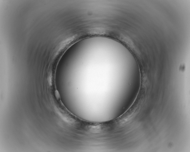 X0000093570068200710291049