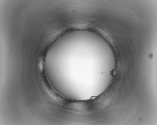 X0000093570069200710291049
