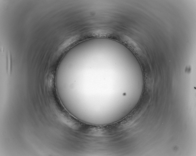 X0000093570071200710291049
