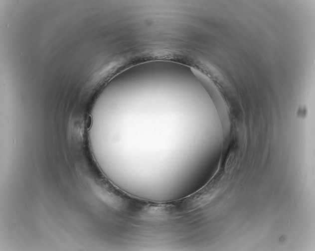 X0000093570072200710291049