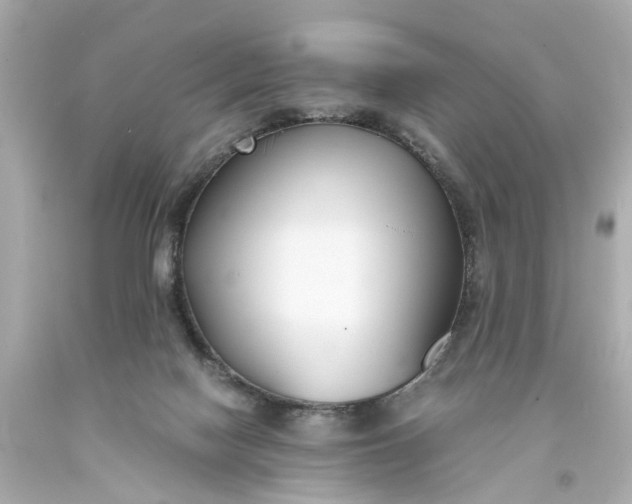 X0000093570074200710291049