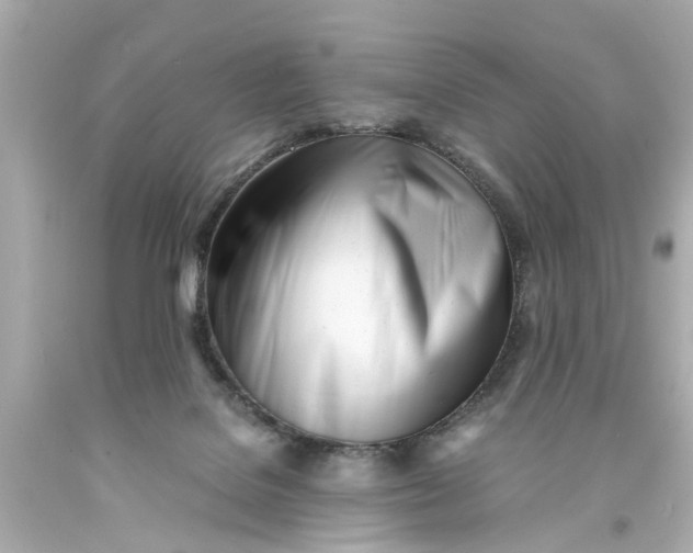 X0000093570076200710291049