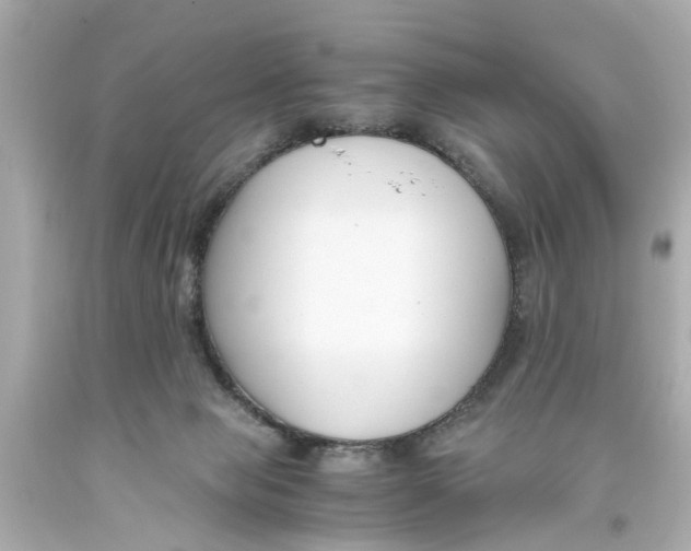 X0000093570077200710291049