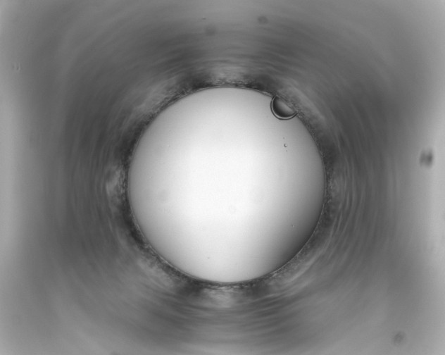 X0000093570079200710291049