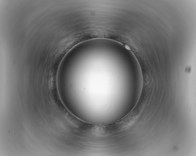 X0000093570080200710291049