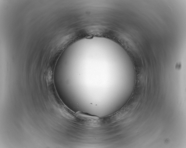 X0000093570081200710291049