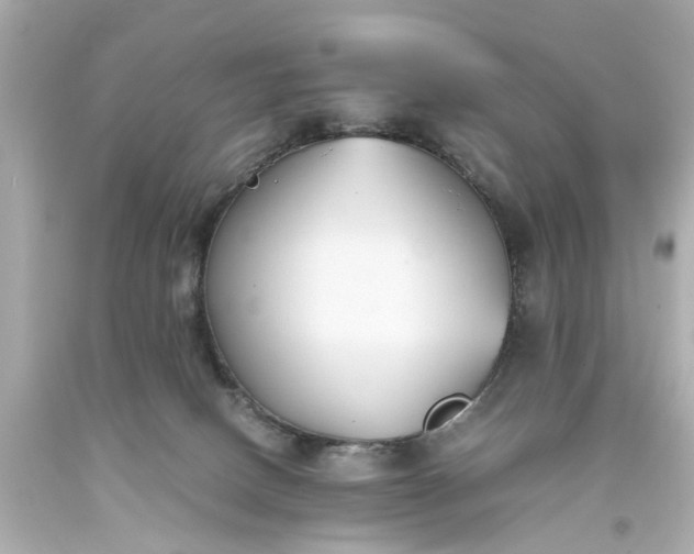 X0000093570082200710291049