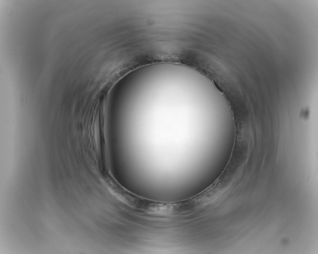 X0000093570084200710291049