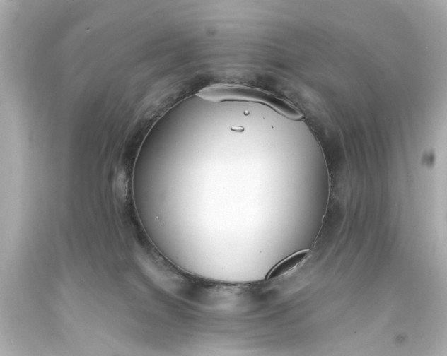 X0000093570086200710291049