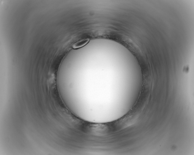 X0000093570087200710291049