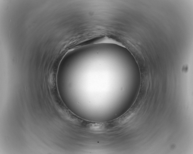 X0000093570088200710291049