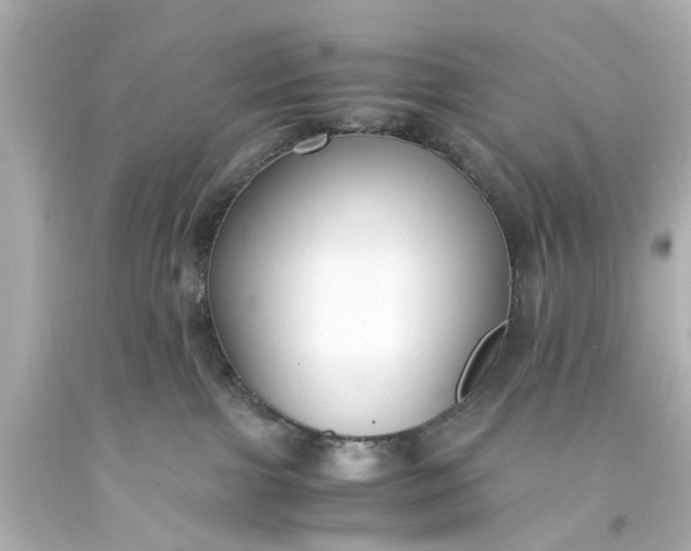 X0000093570091200710291049