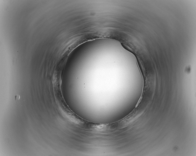 X0000093570092200710291049