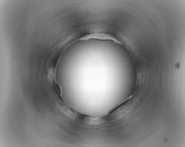 X0000093570093200710291049