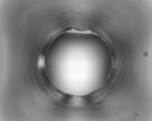 X0000093570095200710291049