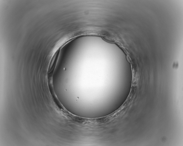 X0000093570099200710291049