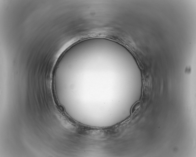 X0000093570100200710291049