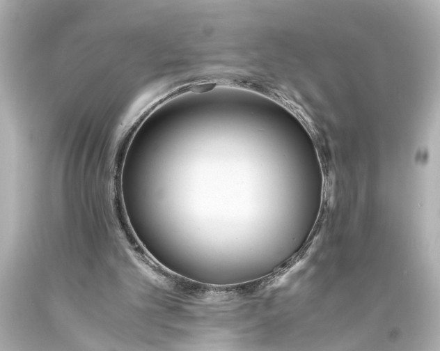 X0000093570101200710291049