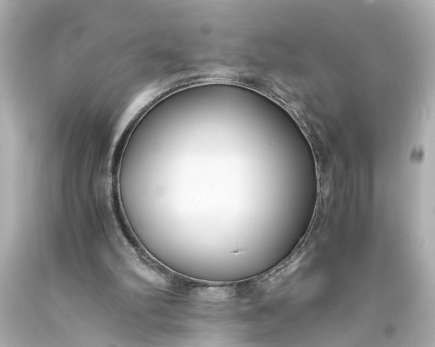 X0000093570102200710291049
