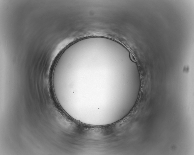 X0000093570104200710291049