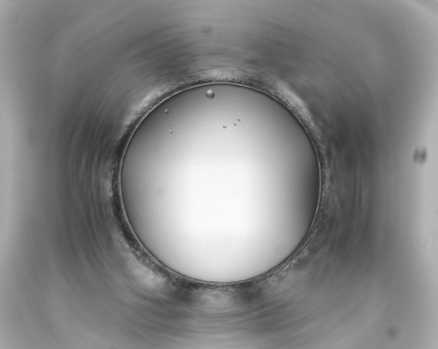 X0000093570106200710291049