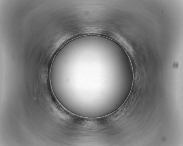 X0000093570107200710291049
