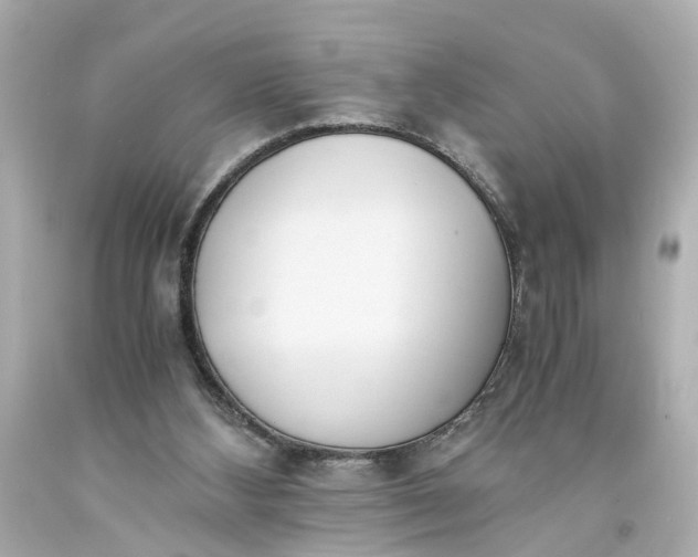 X0000093570108200710291048