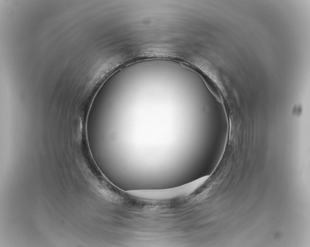 X0000093570109200710291048