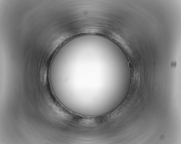 X0000093570110200710291048