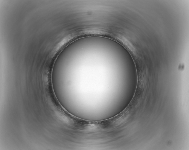 X0000093570111200710291048