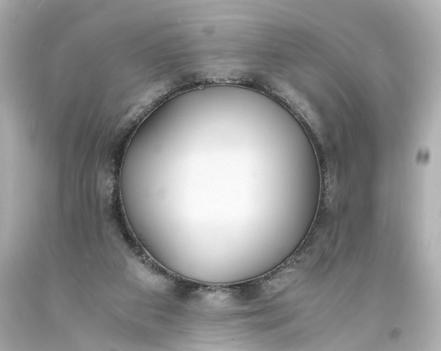 X0000093570113200710291048