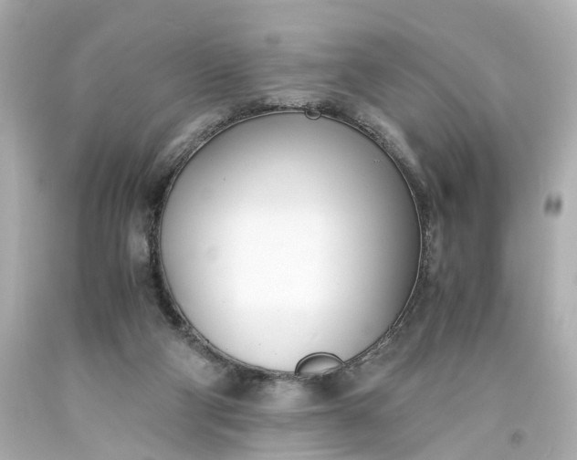 X0000093570114200710291048