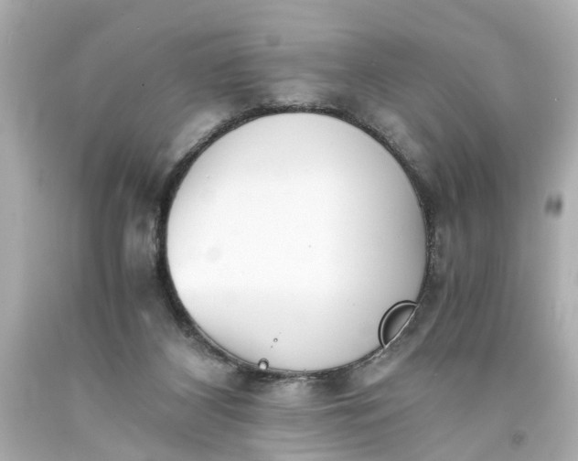 X0000093570116200710291048