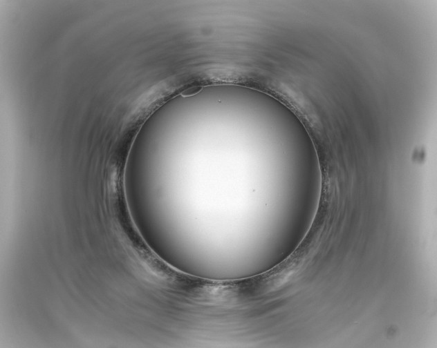 X0000093570117200710291048