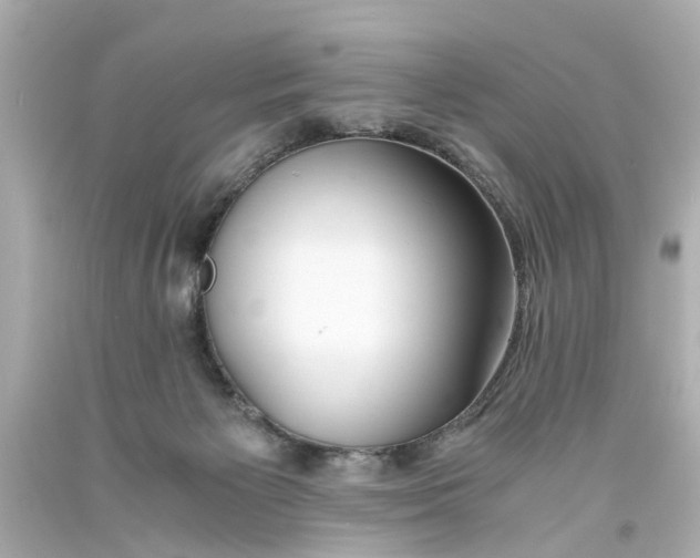 X0000093570125200710291048