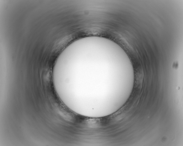 X0000093570126200710291048