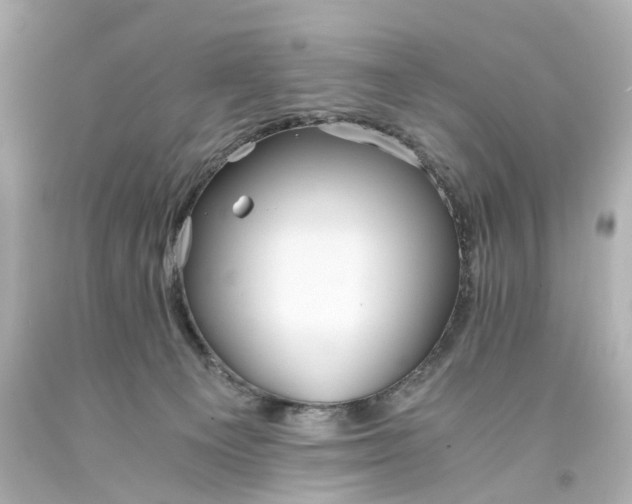 X0000093570129200710291048