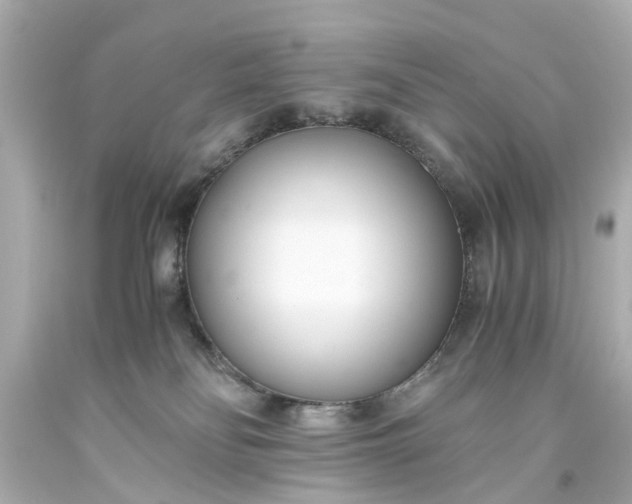 X0000093570134200710291048