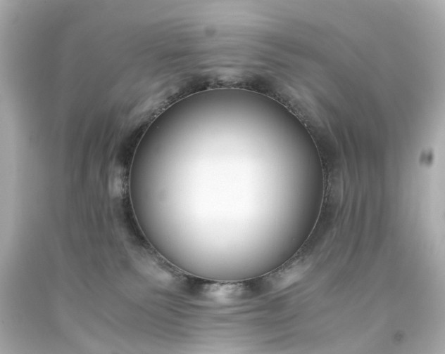 X0000093570135200710291048