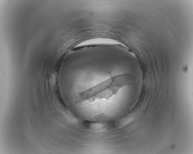 X0000093570139200710291048