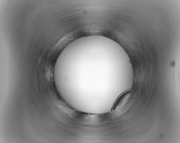 X0000093570140200710291048