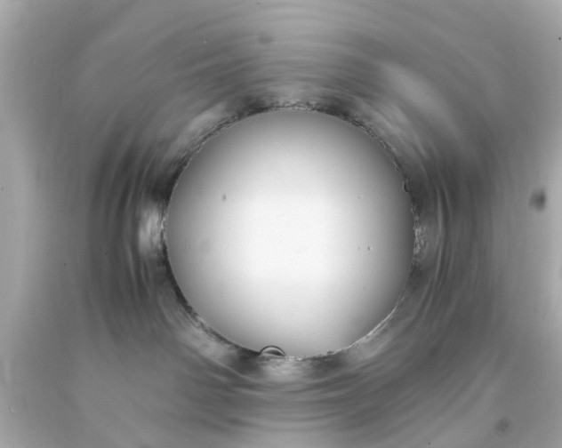 X0000093570142200710291048