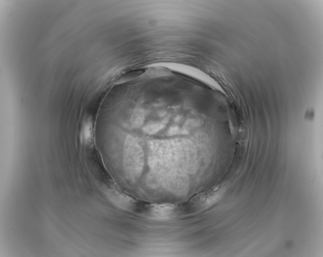 X0000093570143200710291048