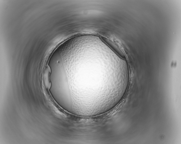 X0000093570145200710291047