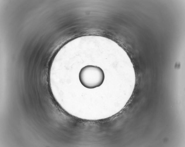 X0000093570146200710291047
