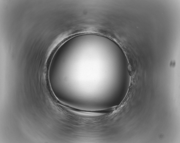 X0000093570152200710291048