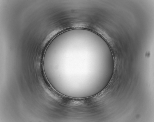 X0000093570155200710291048