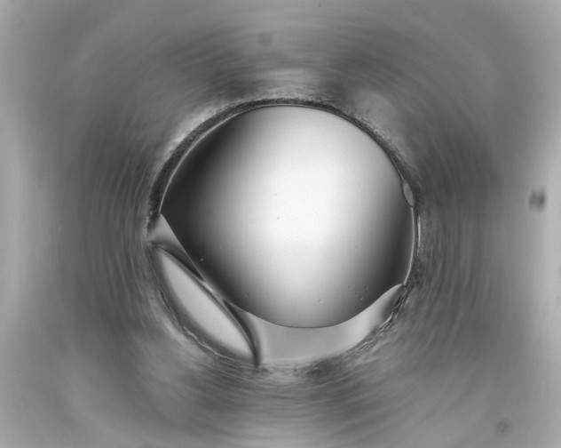 X0000093570156200710291048