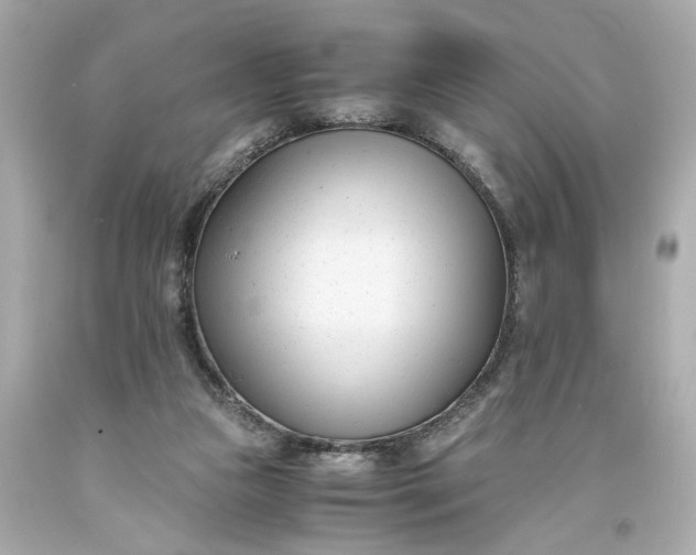 X0000093570161200710291048